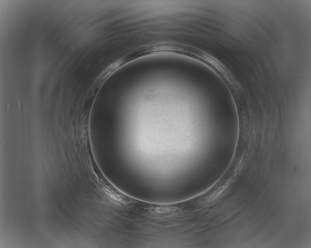 X0000057560857200509231157