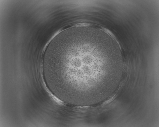 X0000057560859200509231157