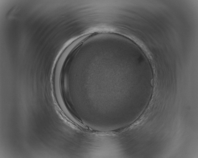 X0000057560864200509231157