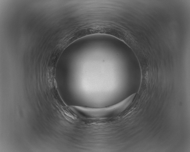 X0000057560868200509231157