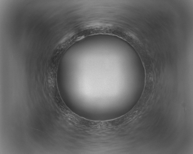 X0000057560869200509231157