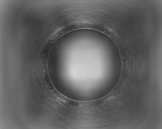 X0000057560870200509231157