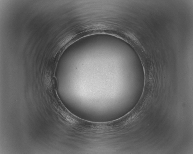 X0000057560873200509231156