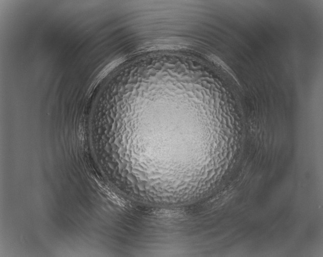 X0000057560874200509231156