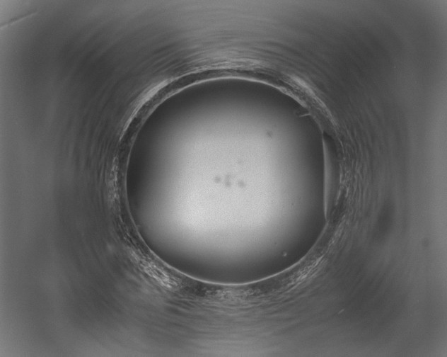 X0000057560875200509231156