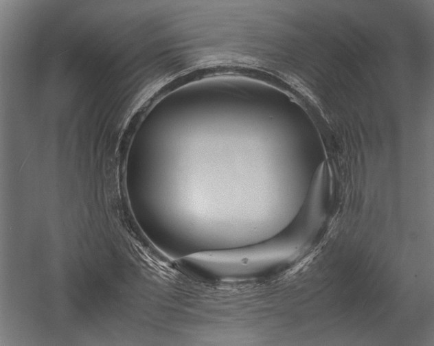 X0000057560877200509231156