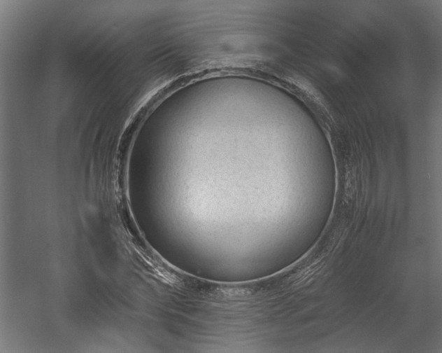 X0000057560878200509231156