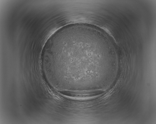 X0000057560879200509231156