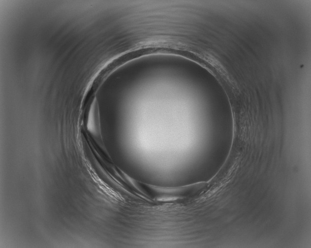 X0000057560880200509231156