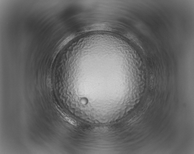 X0000057560882200509231156