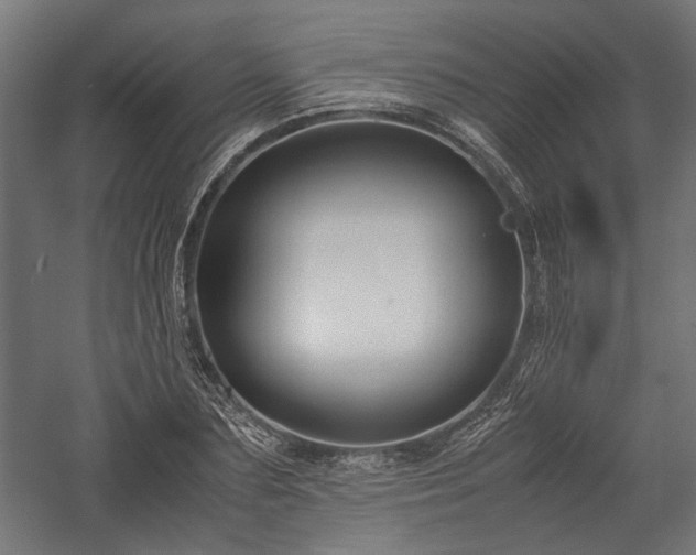 X0000057560883200509231156