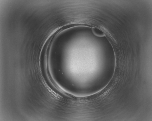 X0000057560884200509231156