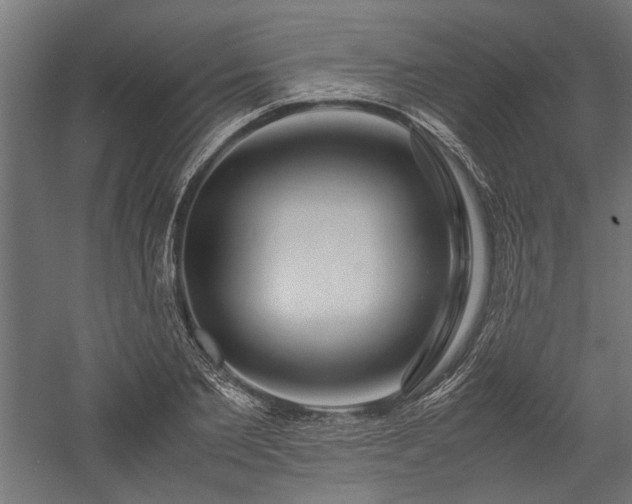 X0000057560885200509231156