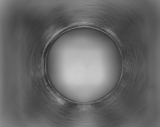 X0000057560886200509231156