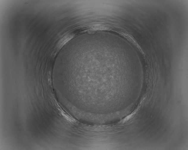 X0000057560889200509231156