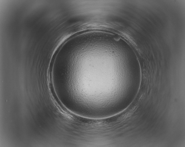 X0000057560891200509231156