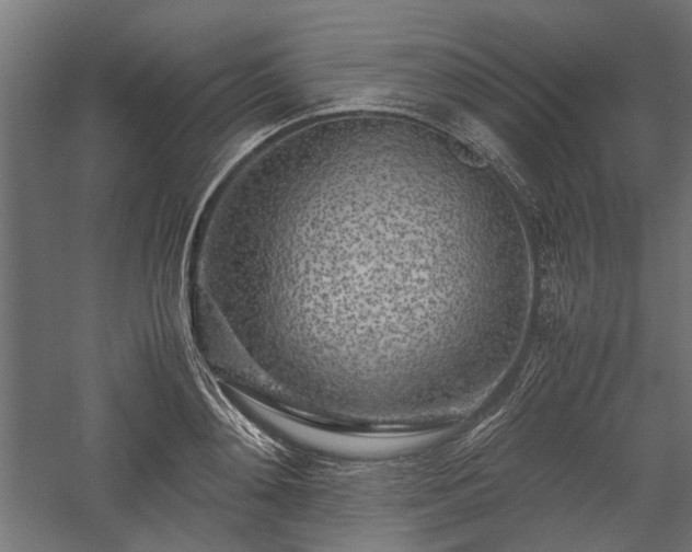 X0000057560892200509231156