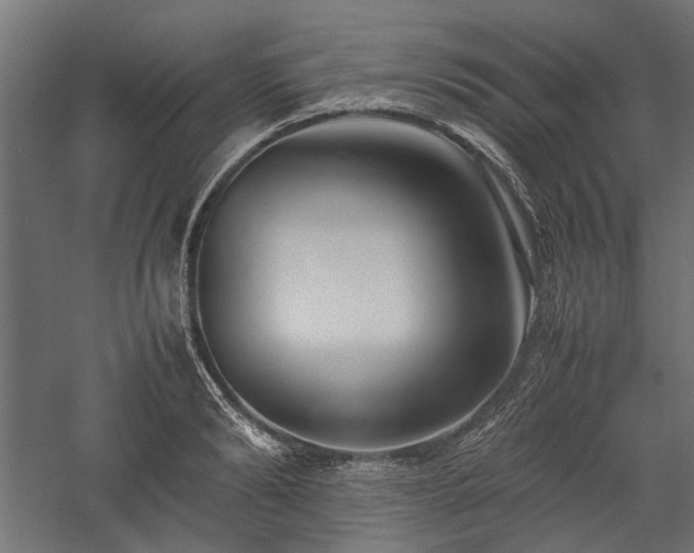 X0000057560894200509231156