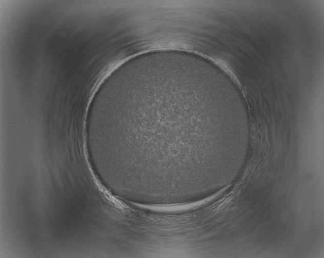 X0000057560895200509231156