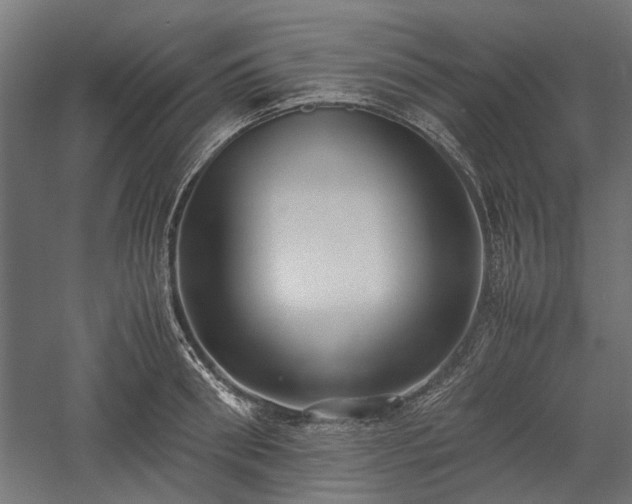 X0000057560898200509231156