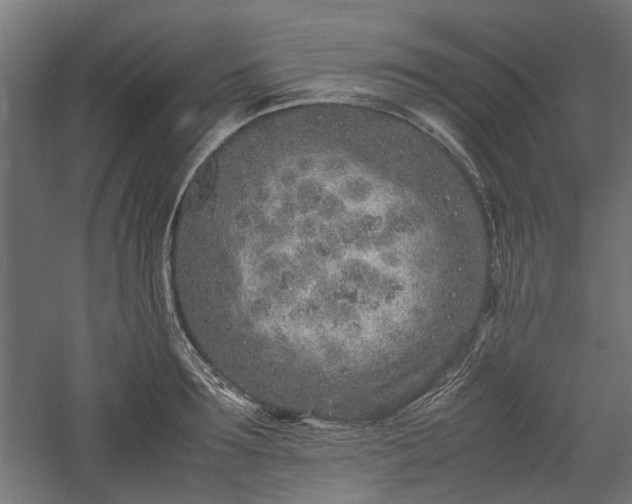 X0000057560899200509231156