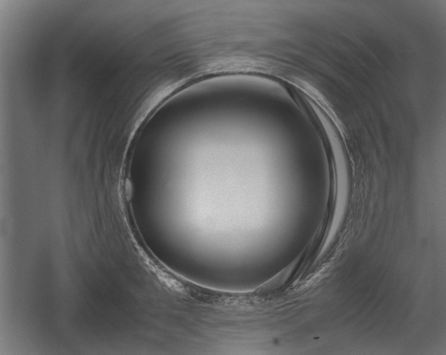 X0000057560901200509231156