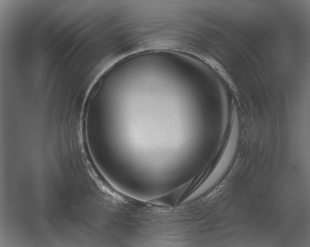 X0000057560904200509231156