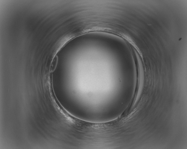 X0000057560906200509231156