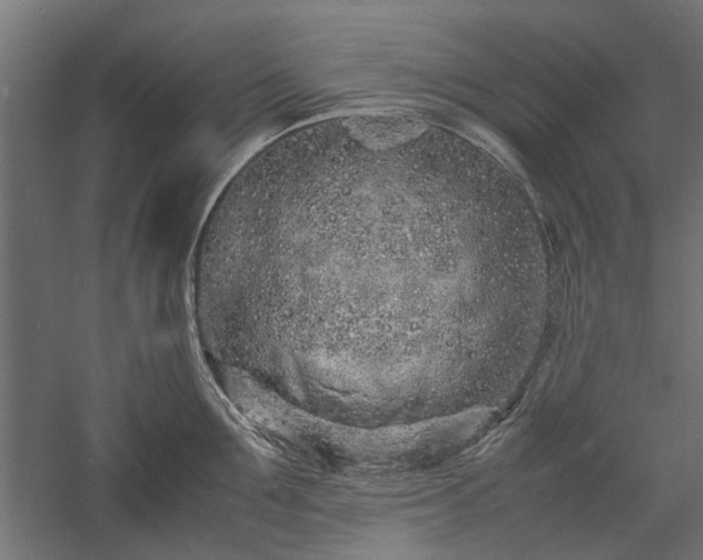 X0000057560907200509231156