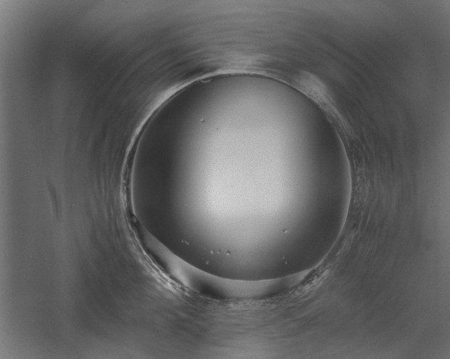 X0000057560908200509231156