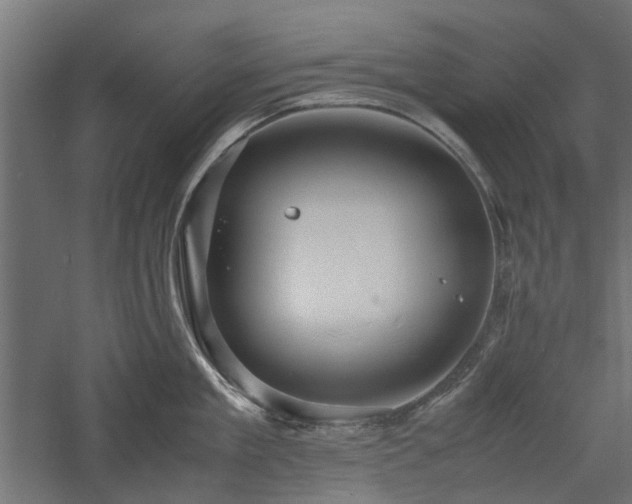 X0000057560909200509231156