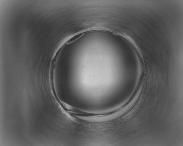 X0000057560910200509231156