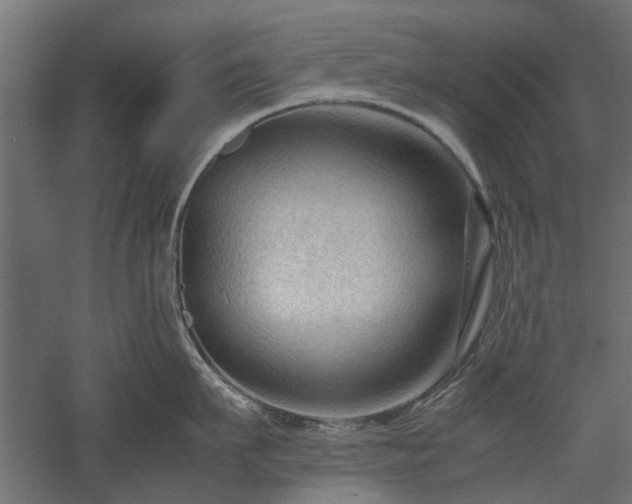 X0000057560911200509231156