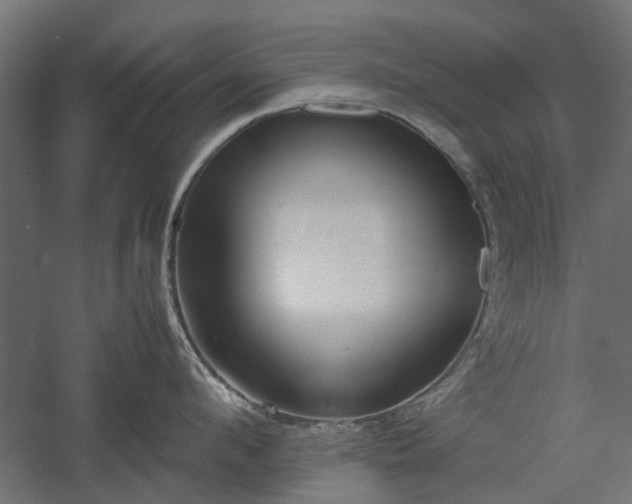 X0000057560912200509231156