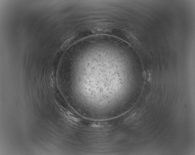 X0000057560915200509231155