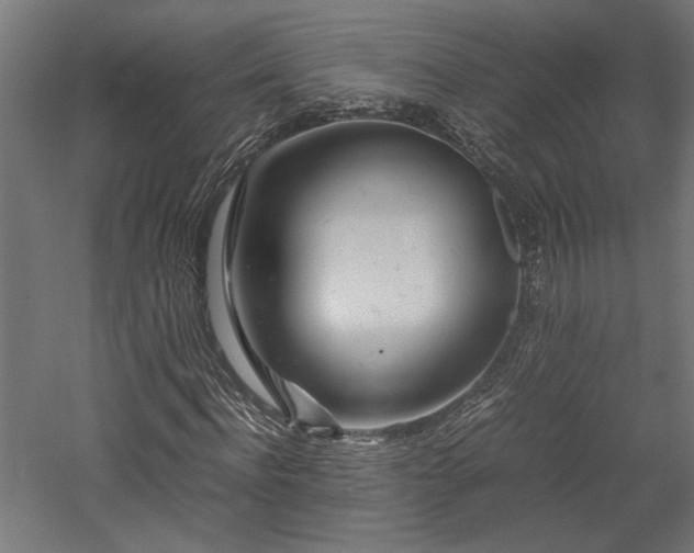 X0000057560916200509231155