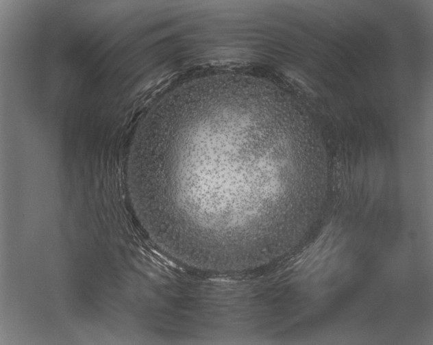 X0000057560917200509231155