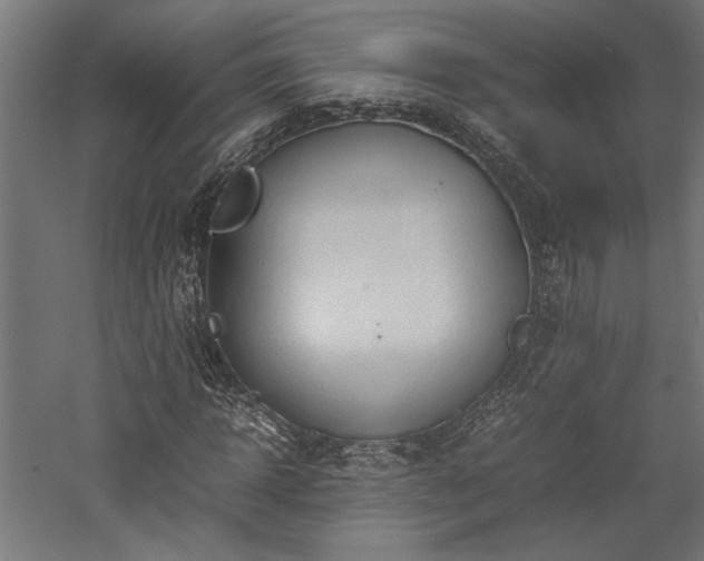 X0000057560918200509231155