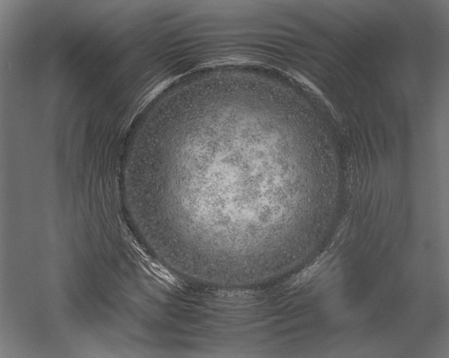 X0000057560921200509231155