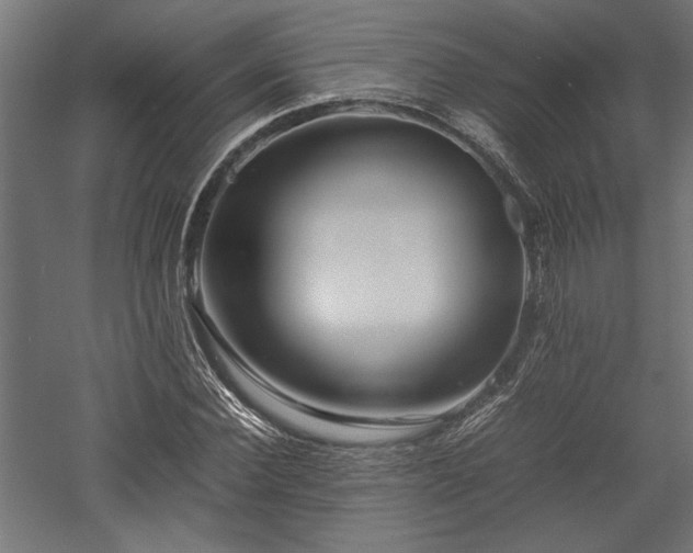 X0000057560924200509231155