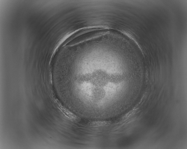 X0000057560925200509231155