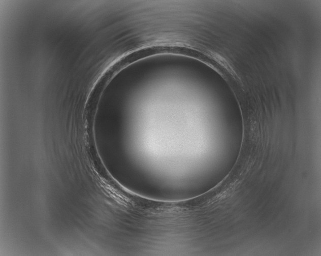 X0000057560926200509231155