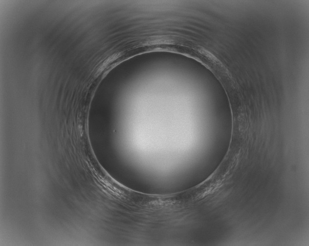 X0000057560929200509231155