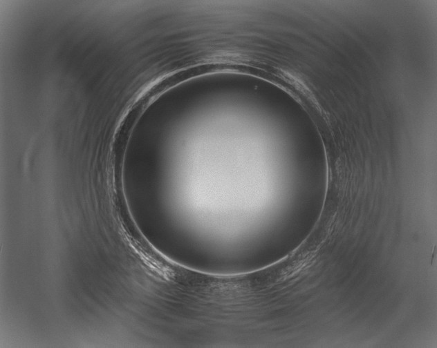 X0000057560931200509231155