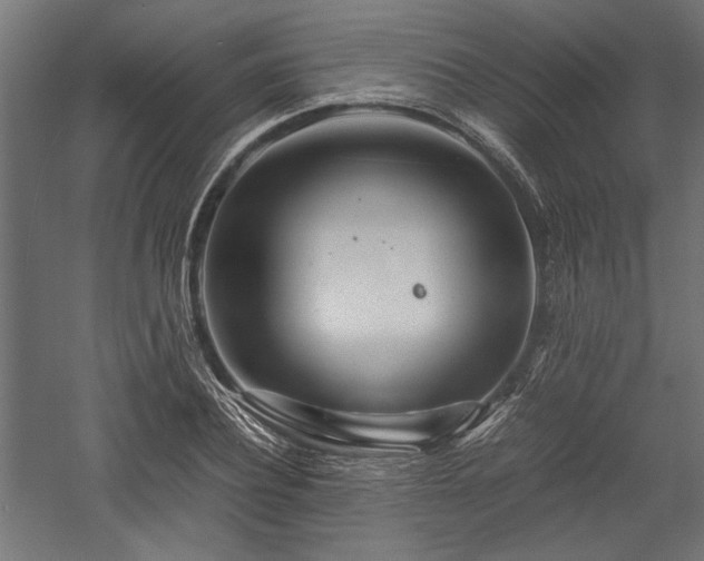 X0000057560932200509231155