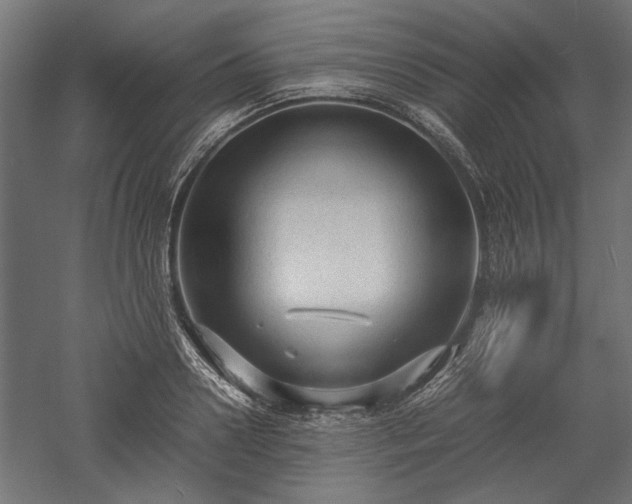 X0000057560938200509231155