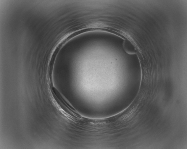 X0000057560939200509231155