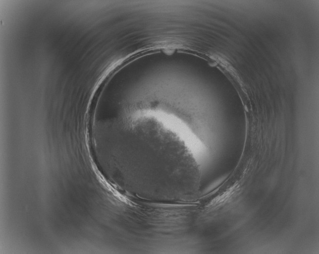 X0000057560941200509231155