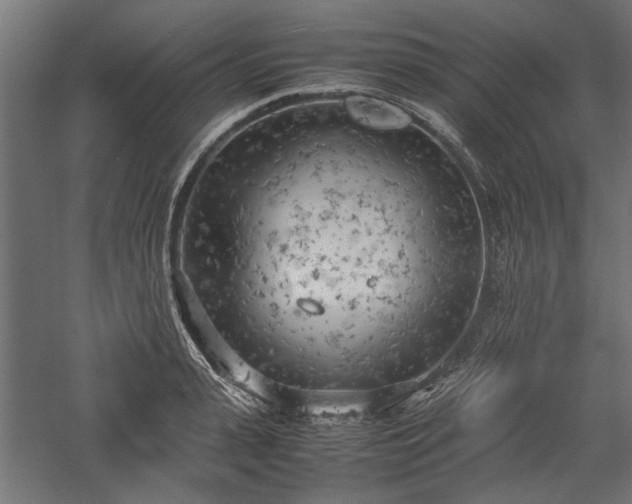 X0000057560943200509231155