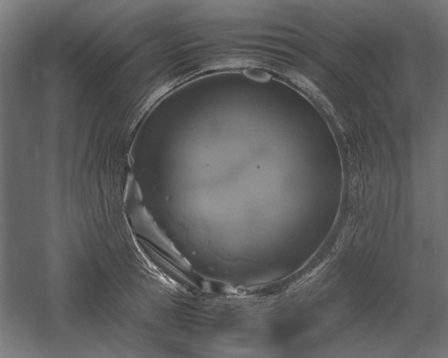 X0000057560945200509231156